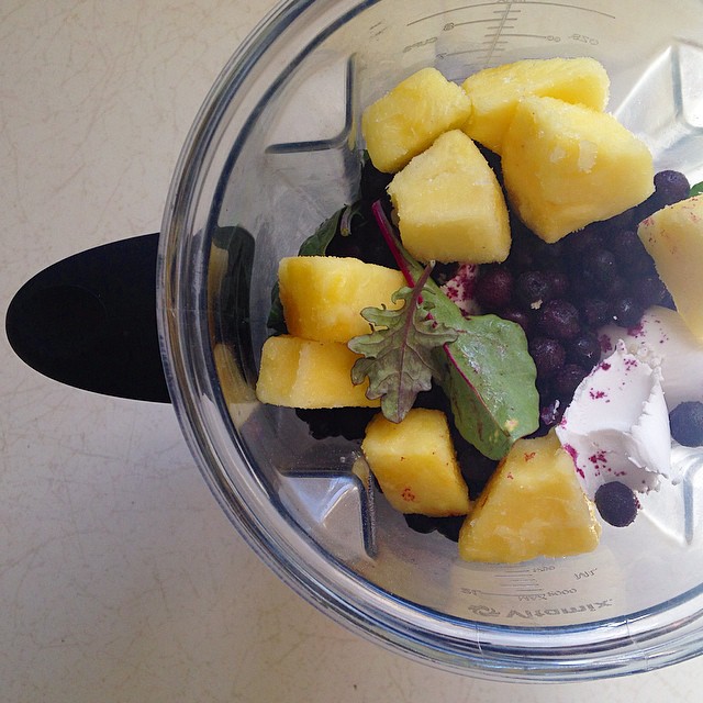 Standard Process Fruit Smoothie in Blender